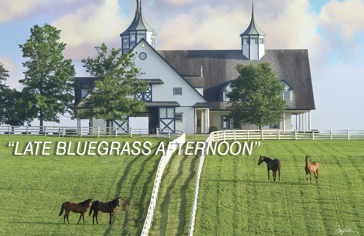 LATE BLUEGRASS AFTERNOON
