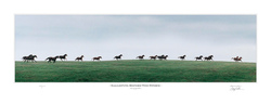 Galloping Before The Storm
