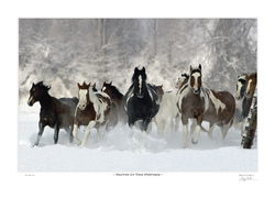 Paints In The Powder