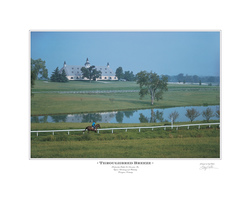Thoroughbred Breeze