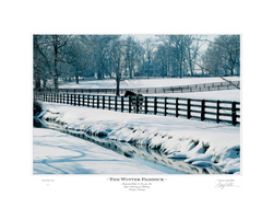 The Winter Paddock