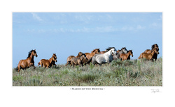 Mares of the Remuda