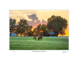 Bluegrass Sunset