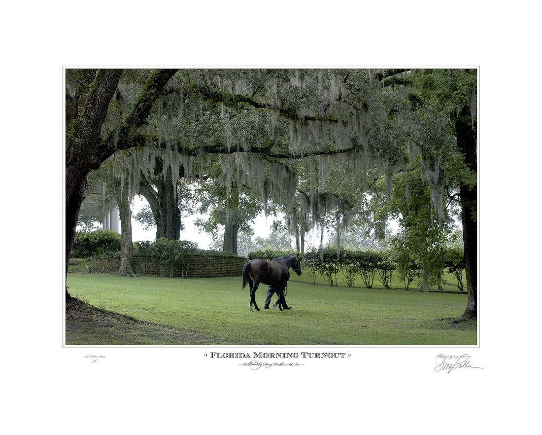 Florida Morning Turnout