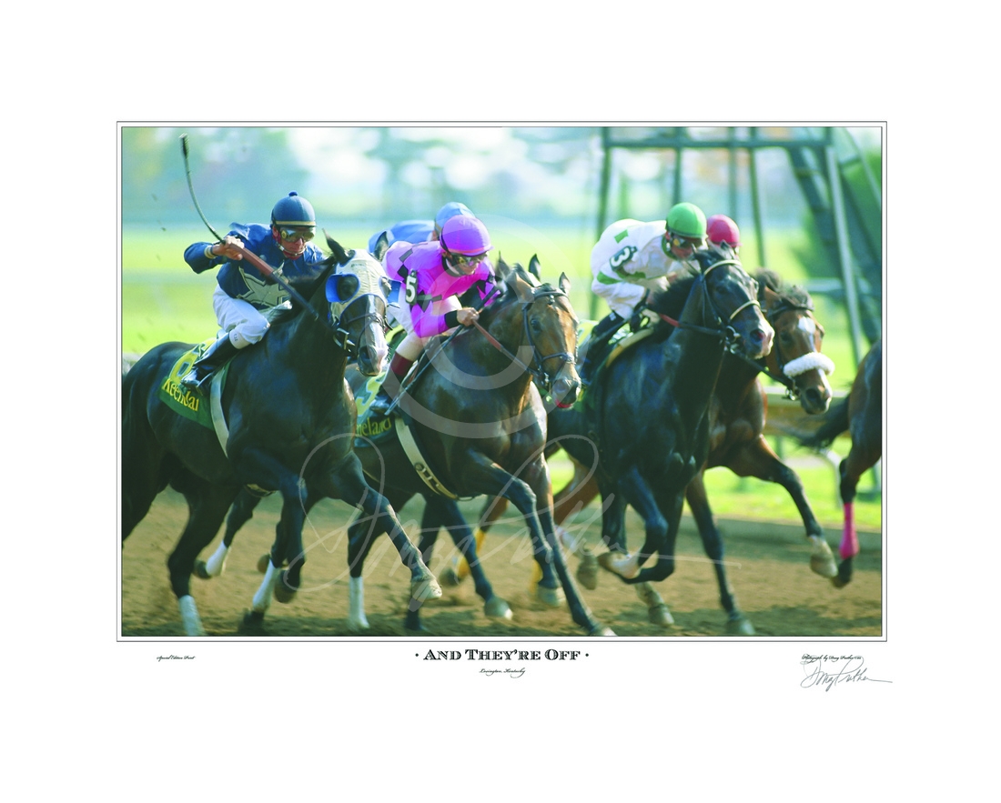 And They're Off, Thoroughbred horses race of the starting gate in a stakes race at Keeneland Race Course, Lexington, KY