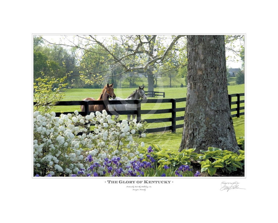The Glory of Kentucky