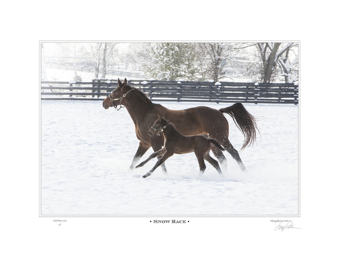 Snow Race