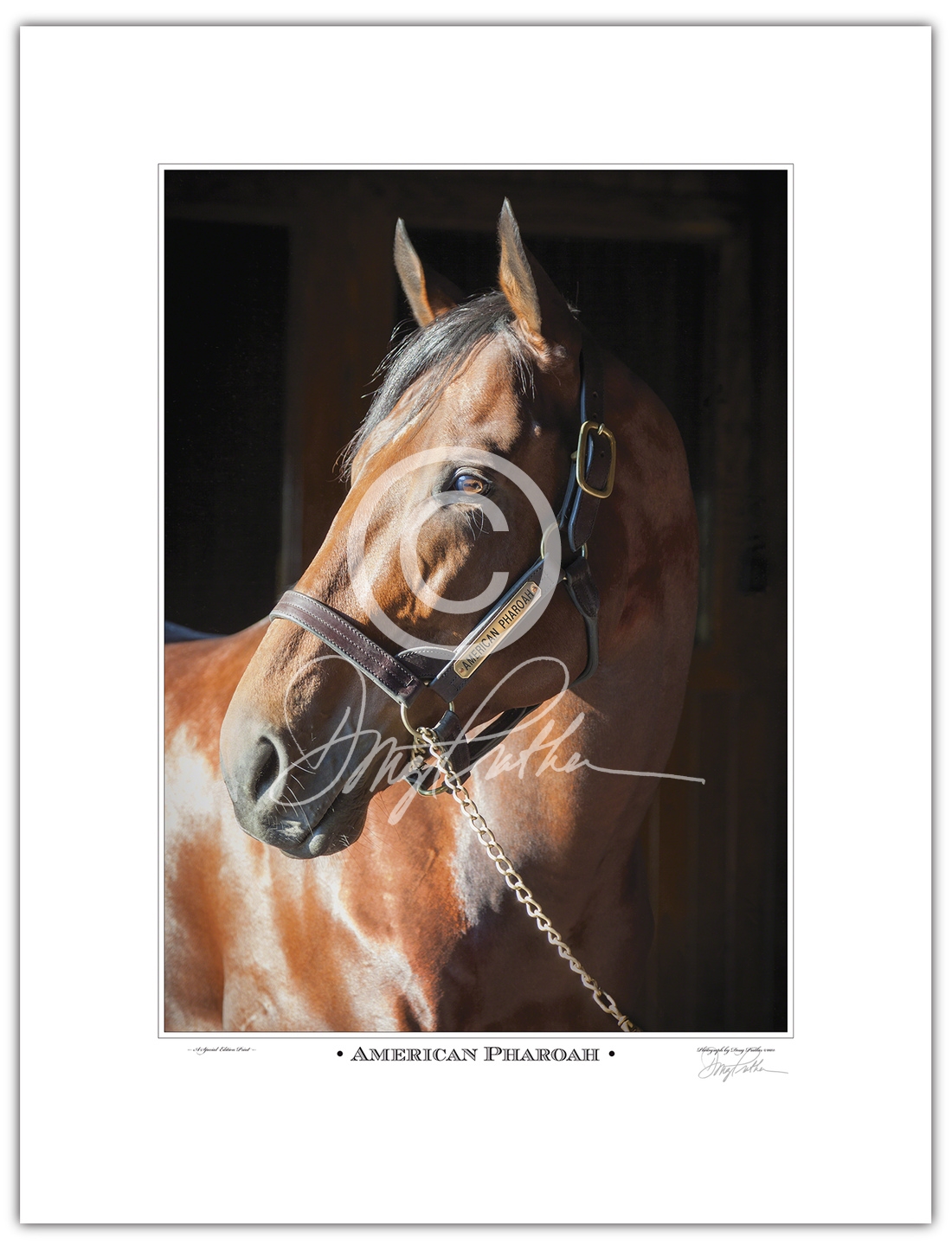 American Pharoah