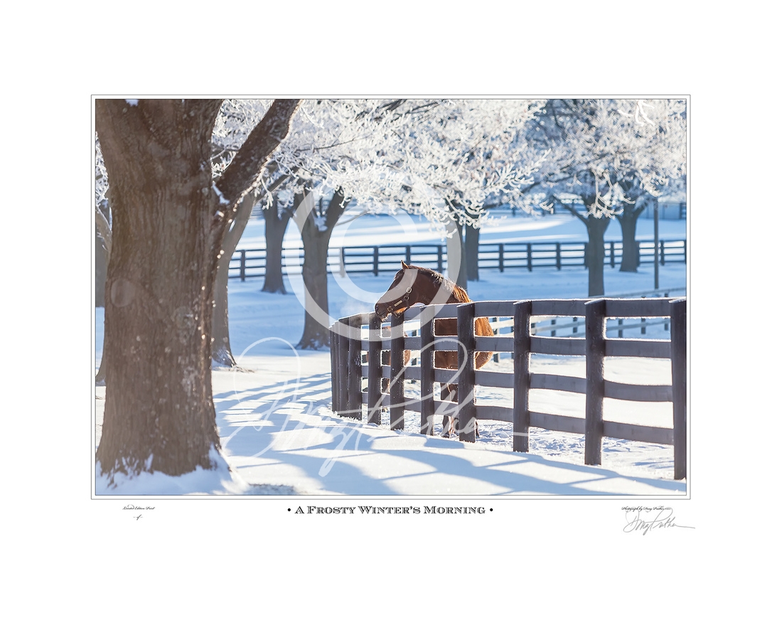 A Frosty Winters Morning