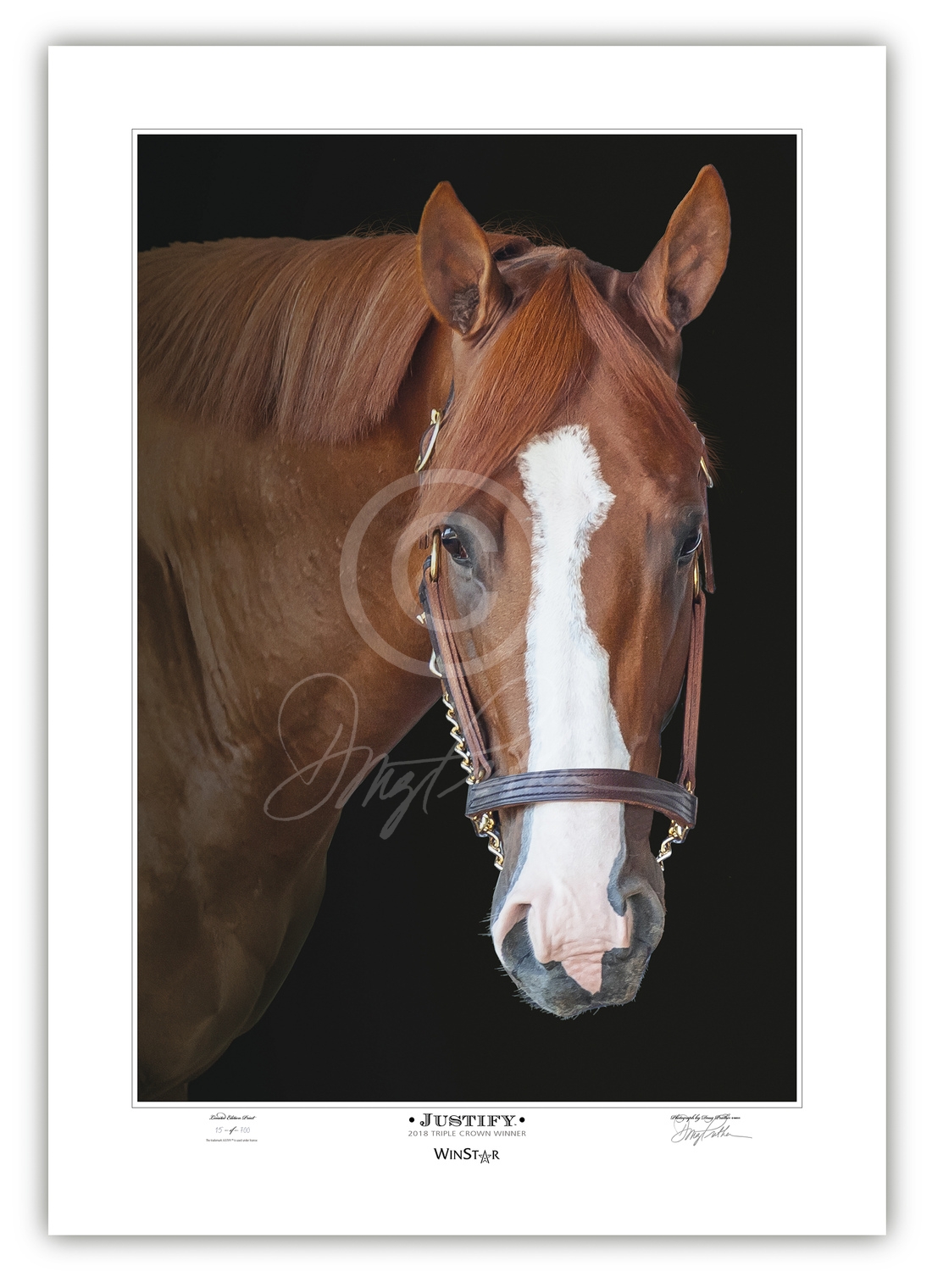 JUSTIFY - Triple Crown Winner
