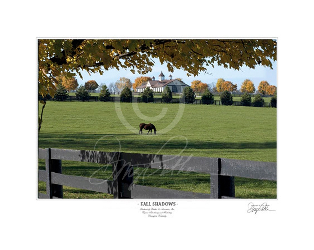 Fall Shadows, a horse fine art print by Doug Prather. An in-foal Thoroughbred broodmare grazes her fence lined paddock in the long afternoon shadows. They are cast by brightly fall colored trees standing along Old Frankfort Pike, Midway, KY. 