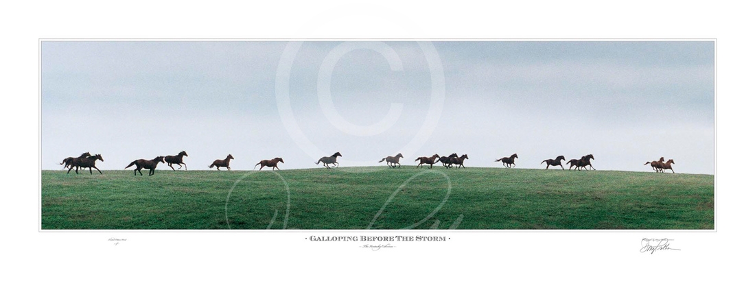 Galloping Before The Storm