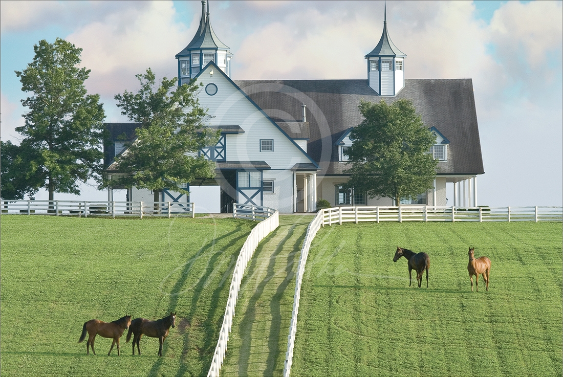 Late Bluegrass Afternoon