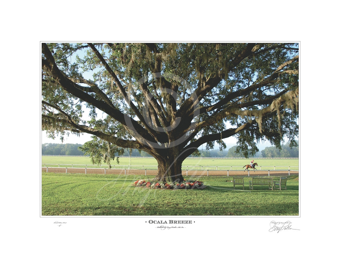Ocala Breeze