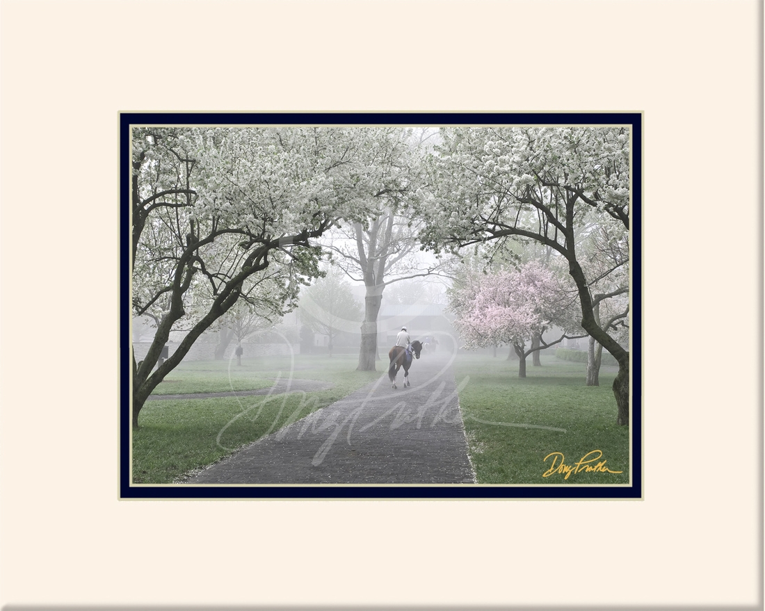 Keeneland Morning Workout