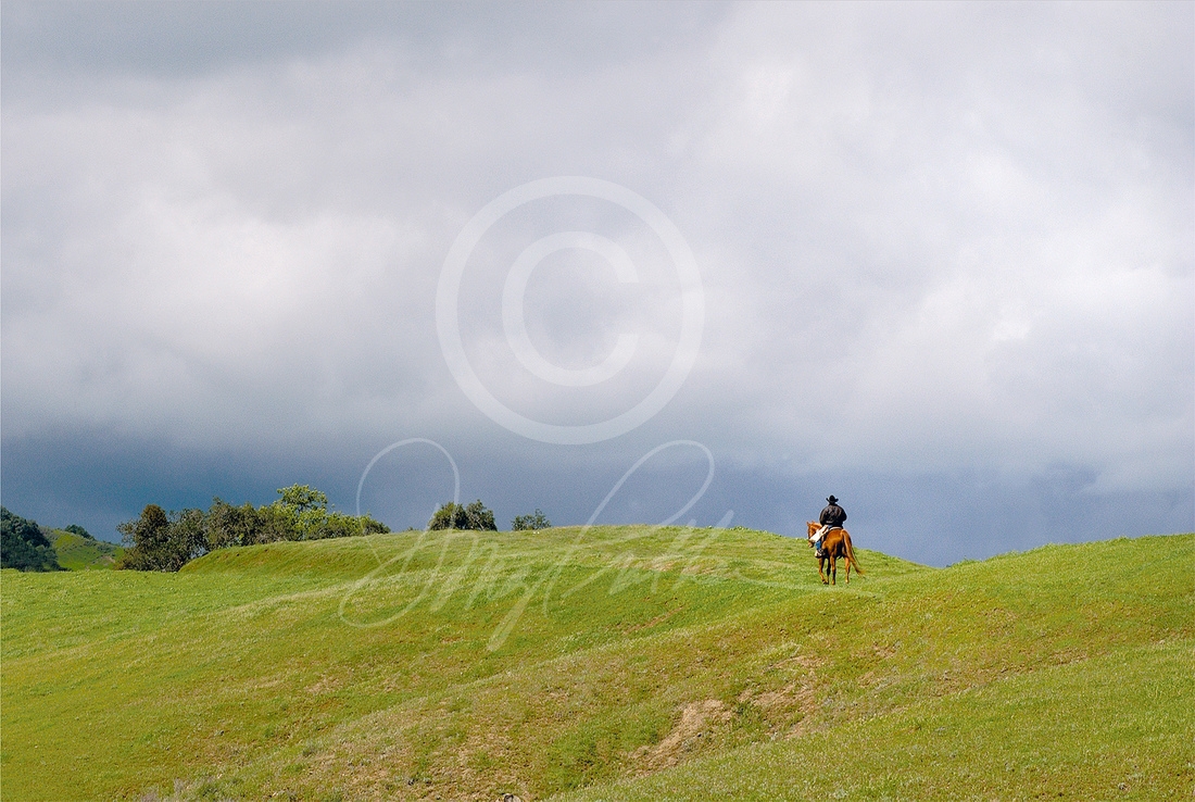 Riding The Ridge