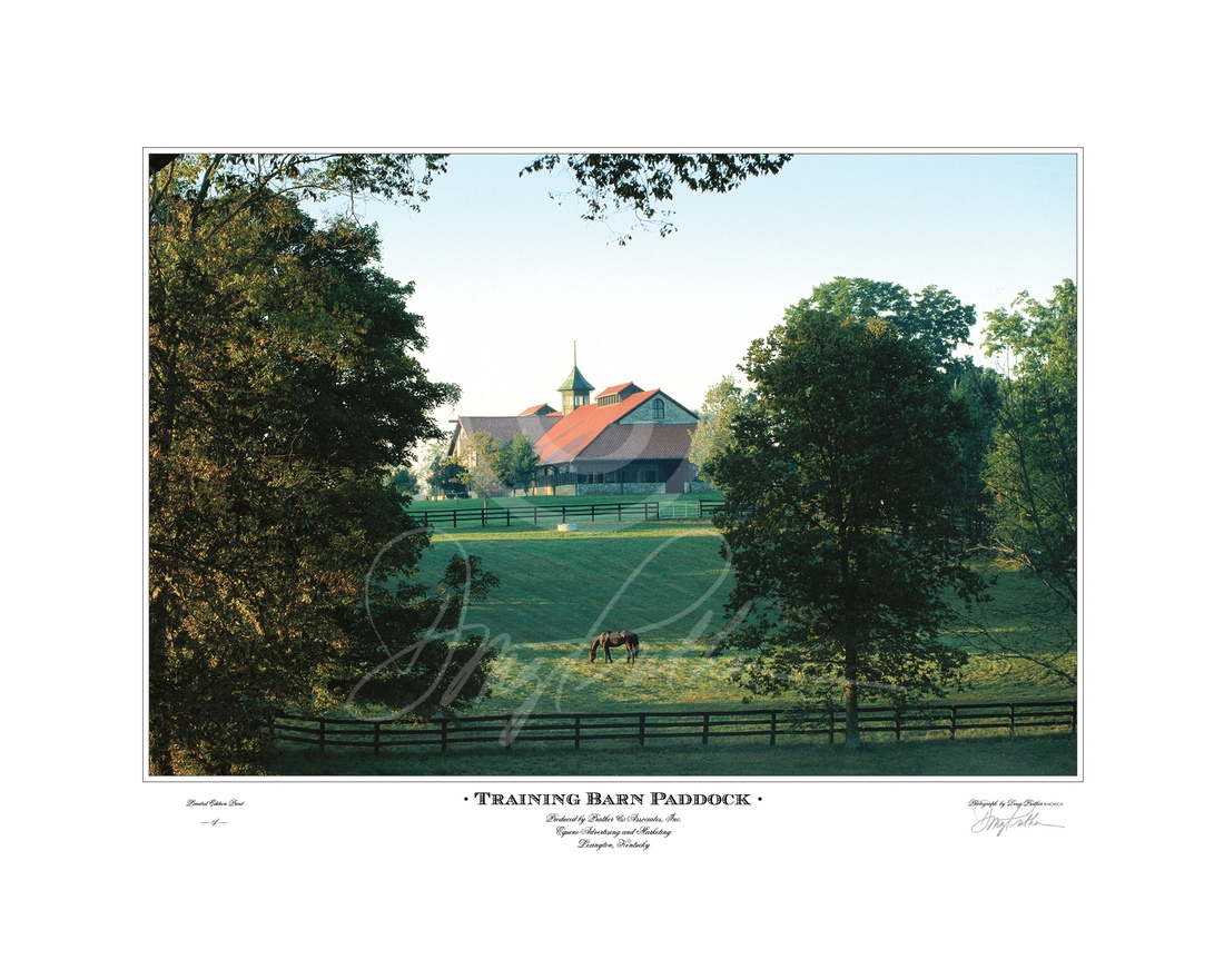 Training Barn Paddock