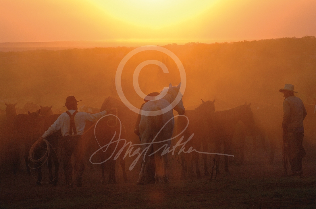 Early Morning Roundup