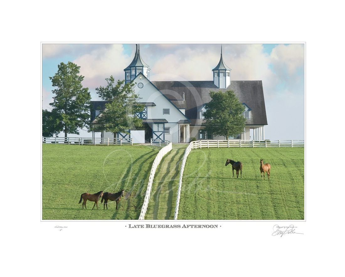 Late Bluegrass Afternoon
