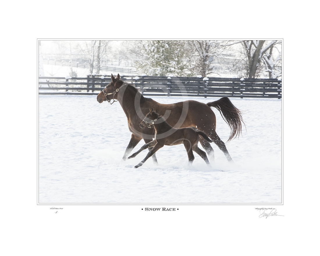 Snow Race