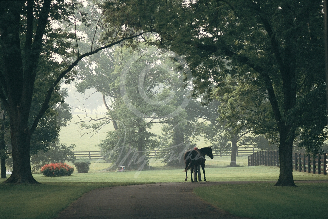 Kentucky Morning Turnout