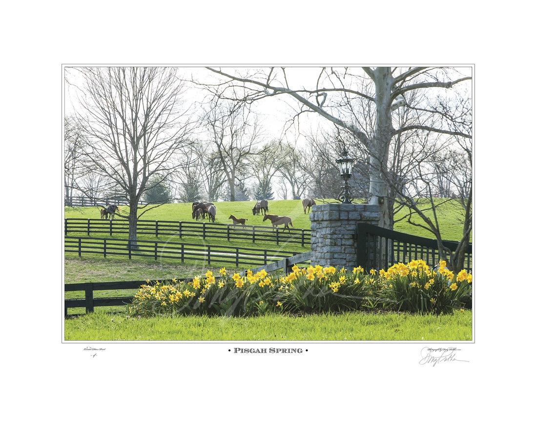 Pisgah Spring