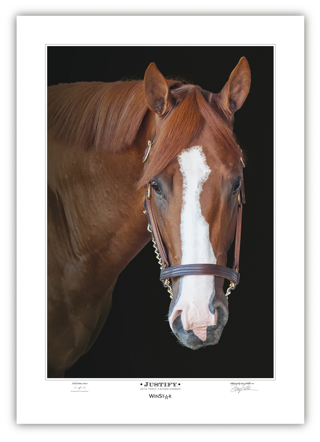 JUSTIFY - Triple Crown Winner