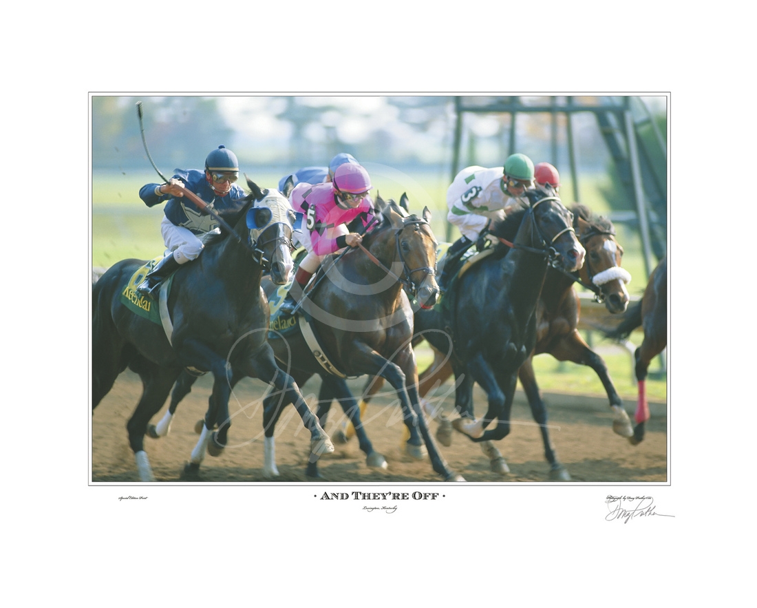 And They're Off, Thoroughbred horses race of the starting gate in a stakes race at Keeneland Race Course, Lexington, KY