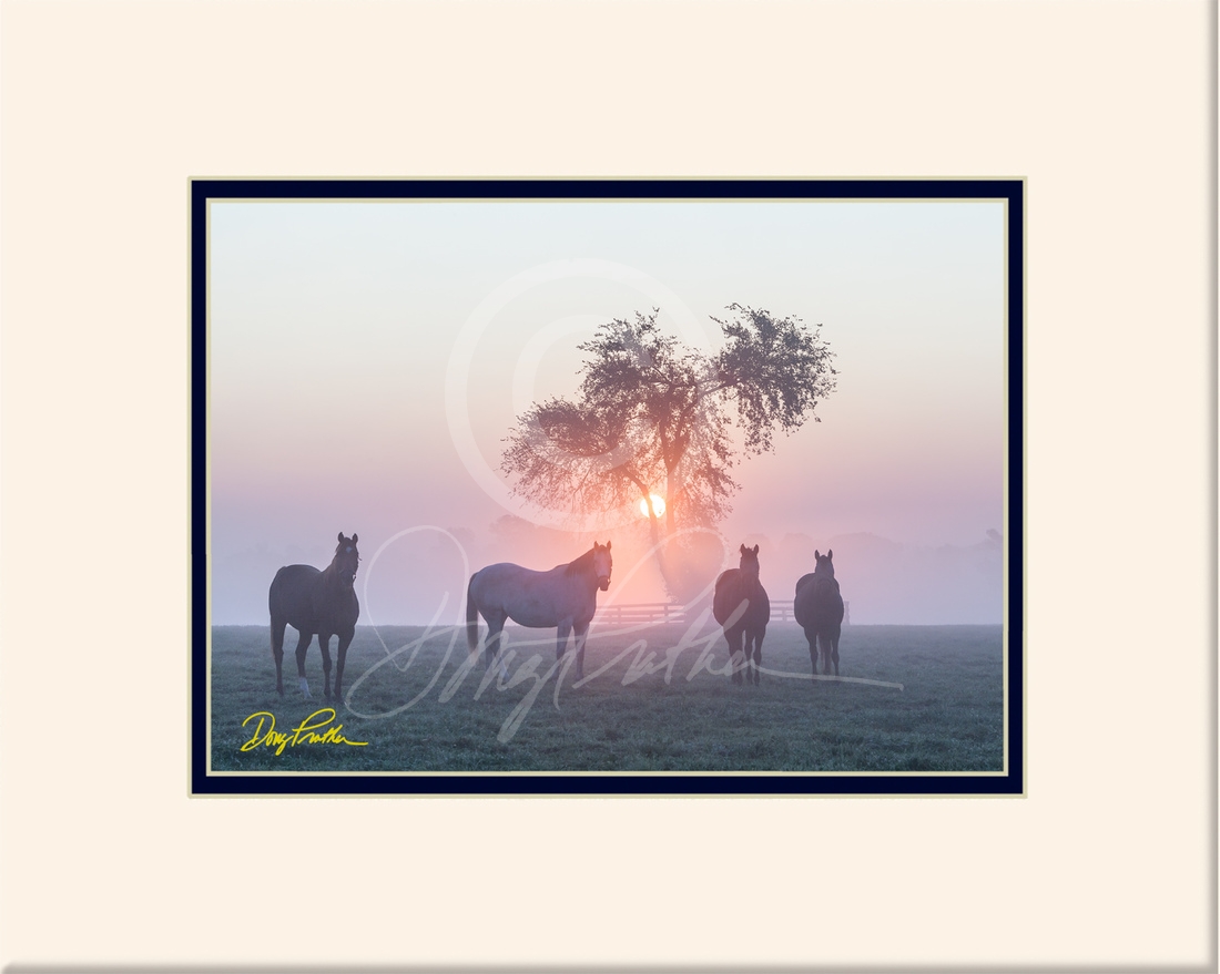 Bluegrass Sunrise