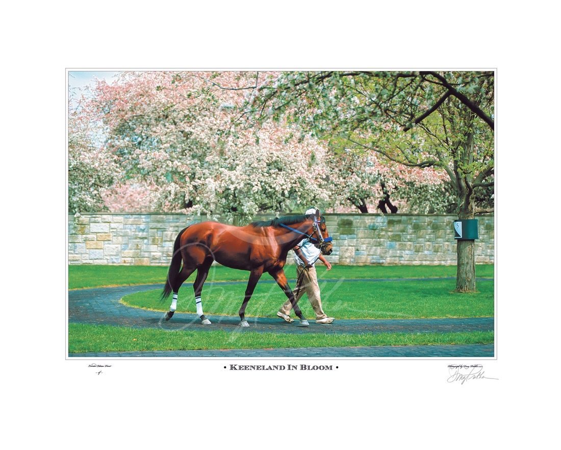 Keeneland In Bloom
