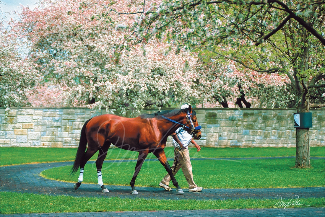 Keeneland In Bloom