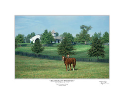 Bluegrass Friends