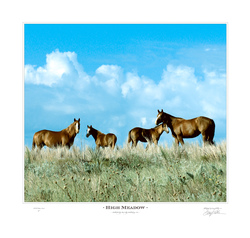 High Meadow