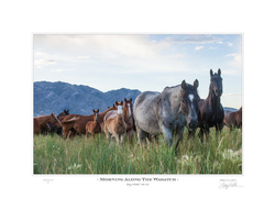 Morning Along the Wasatch