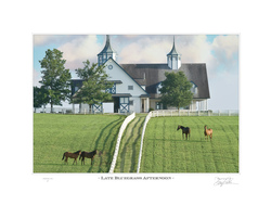 Late Bluegrass Afternoon