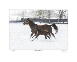Snow Race