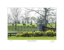 Pisgah Spring