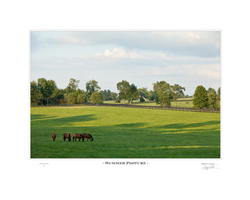 Summer Pasture
