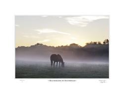 Bluegrass At Daybreak
