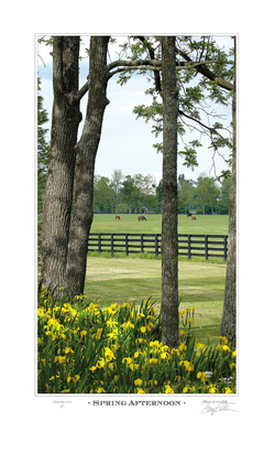 Spring Afternoon