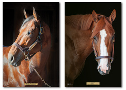 The Triple Crown Winners Portrait Set