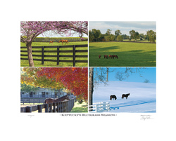 Kentucky's Bluegrass Seasons