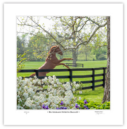 Bluegrass Spring Ballet