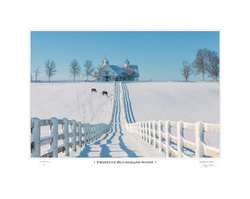 Pristine Bluegrass Snow