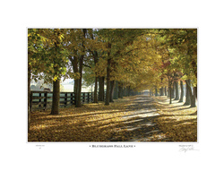 Bluegrass Fall Lane