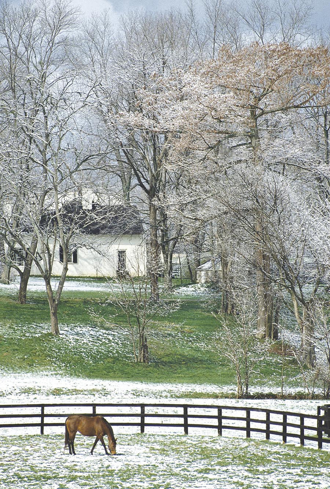 The Coming of Spring