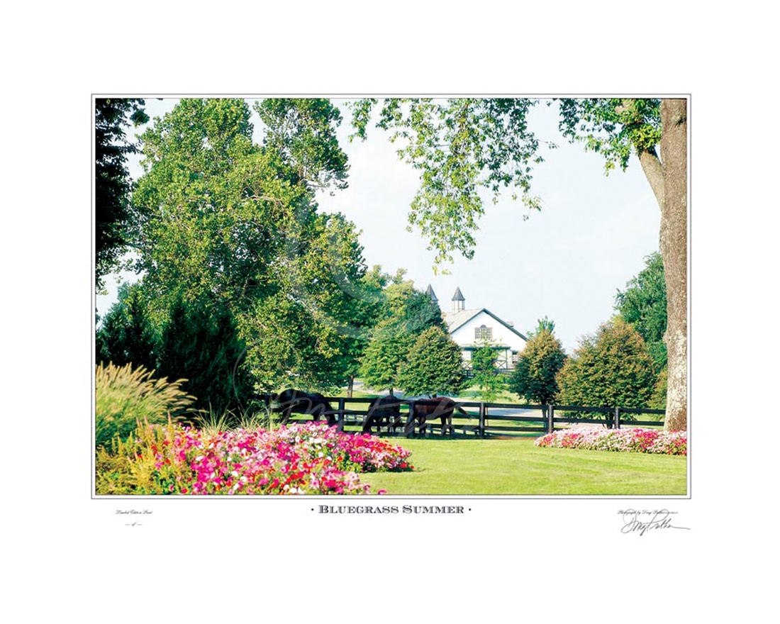 Bluegrass Summer, a fine art horse print. A lush scene intertwining summer flowers, horses, trees and fences into a beautiful pastoral scene on Green Gates Farm, Ironworks Pike, Lexington, Ky. This was also the former Spendthrift and Elmendorf Farms. Phot