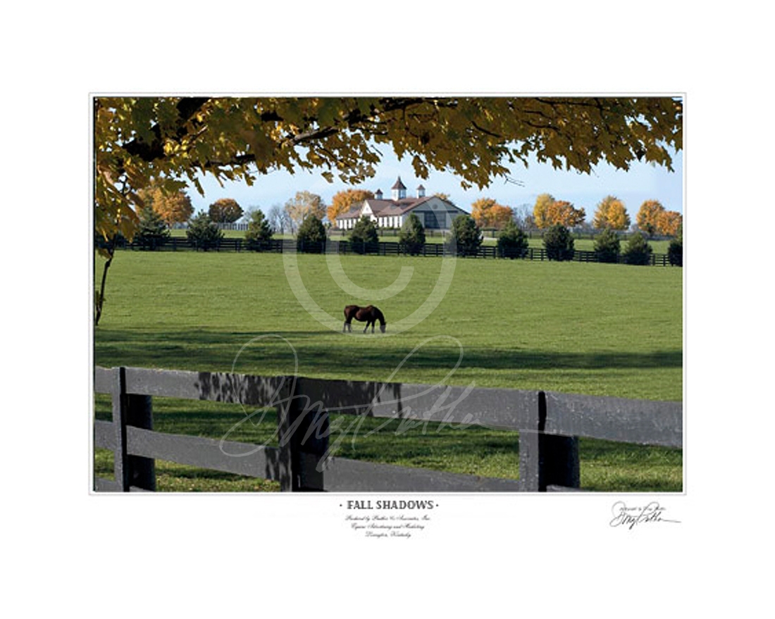 Fall Shadows, a horse fine art print by Doug Prather. An in-foal Thoroughbred broodmare grazes her fence lined paddock in the long afternoon shadows. They are cast by brightly fall colored trees standing along Old Frankfort Pike, Midway, KY.
