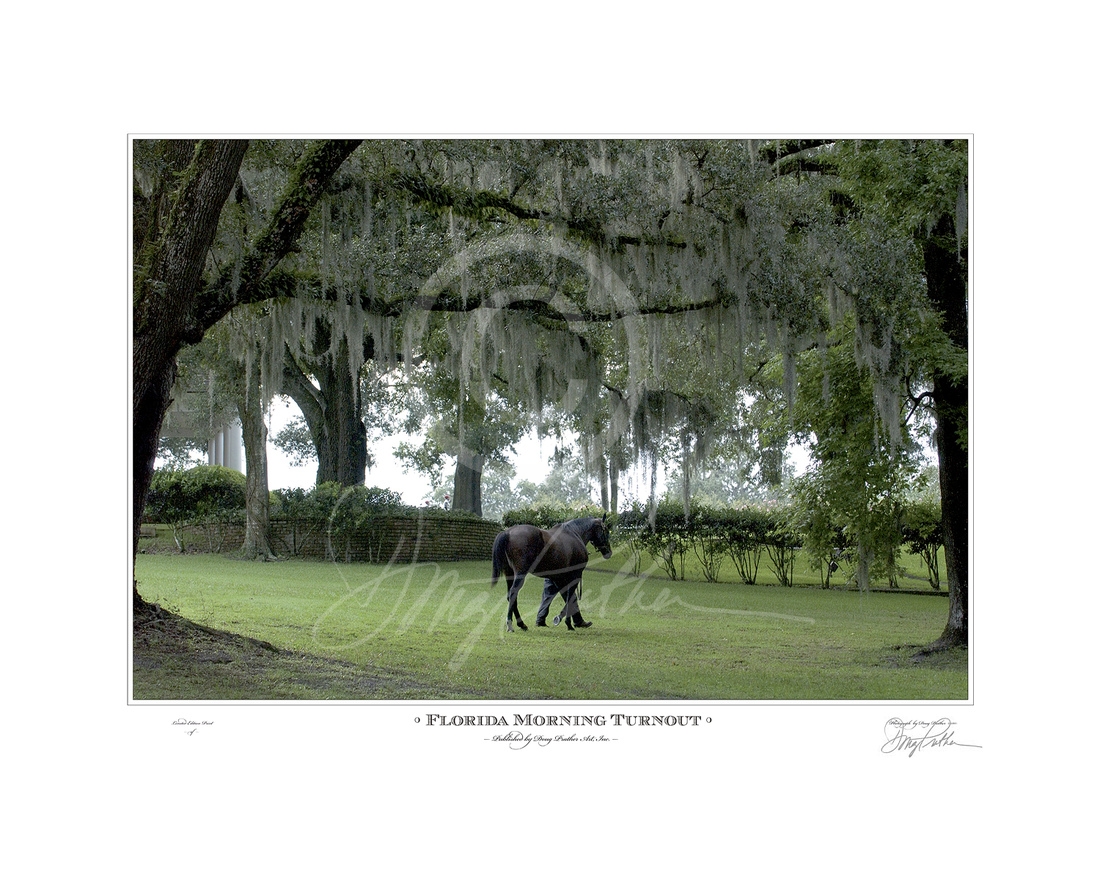 Florida Morning Turnout