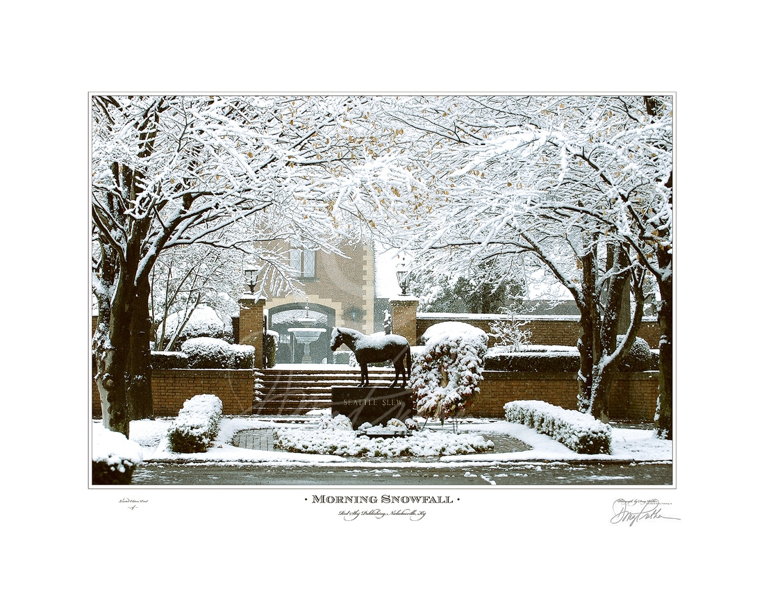 Morning Snowfall
